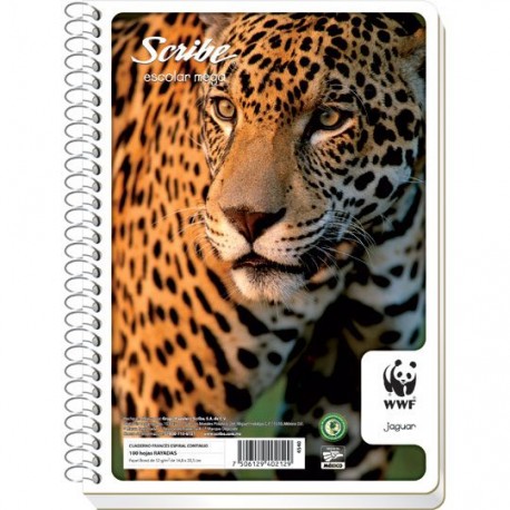 CUADERNO FORMA FRANCESA CUADRO GRANDE SCRIBE DE 100 HOJAS PASTA SEMI RIGIDA TIPO ESPIRAL CONTINUO 1 PIEZA