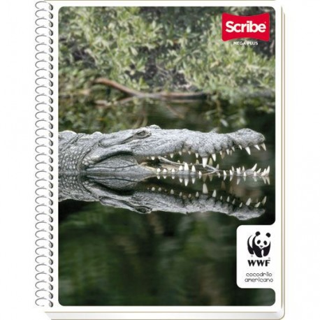 CUADERNO PROFESIONAL CUADRO GRANDE SCRIBE S7513 DE 100 HOJAS PASTA SEMI RIGIDA TIPO METALICO 1 PIEZA