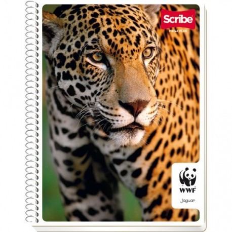 CUADERNO PROFESIONAL CUADRO CHICO SCRIBE DE 100 HOJAS PASTA SEMI RIGIDA TIPO METALICO 1 PIEZA