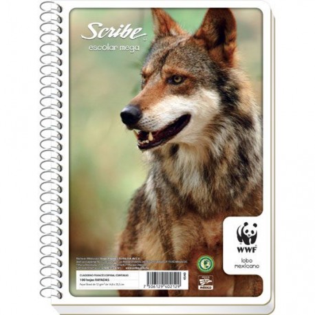 CUADERNO FORMA FRANCESA CUADRO CHICO SCRIBE DE 100 HOJAS PASTA SEMI RIGIDA TIPO ESPIRAL CONTINUO 1 PIEZA