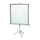 PANTALLA PARA PROYECCION APOLLO P0068 COLOR BLANCO MATE DE 80 PULGADAS