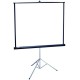 PANTALLA PARA PROYECCION APOLLO P6407 COLOR BLANCO DE 70 PULGADAS