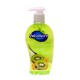 Jabon blumen kiwi starfruit 221 ml