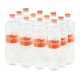AGUA EMBOTELLADA BONAFONT DE 600 ML SABOR NATURAL PAQUETE CON 12 PIEZAS